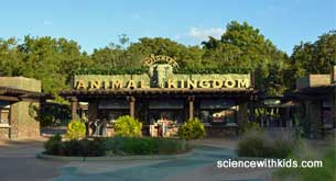 animal kingdom front gate