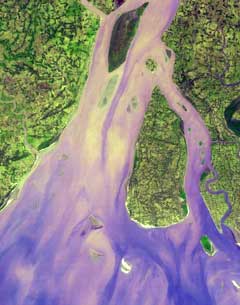 river delta soil sediment