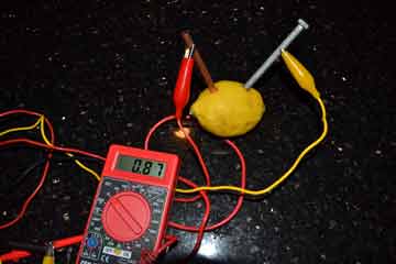 Veggie Power Battery Kit  Potato Battery Kit for Electricity Project