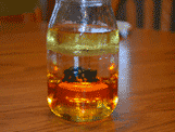 liquid experiment