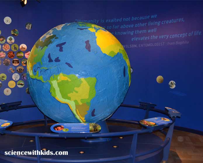 Discovery Place Globe