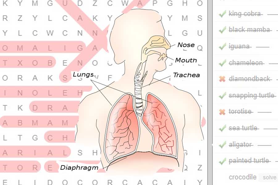 Science Word Search Games Science With Kids