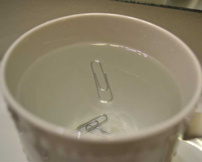 surface tension experiment