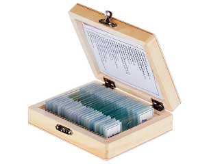 microscope slides