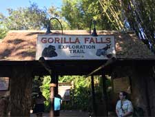 Animal Kingdom Gorilla Falls video