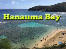 Hanauma Bay Snorkeling tips video