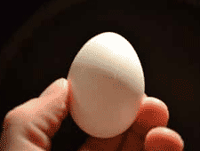 Eggshell Chemistry Experiment