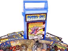 Kids rock and fossil game