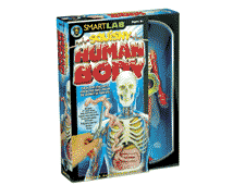 science toy human body kit