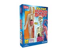 squishy human body kit