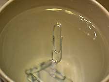 water surface tension experiment