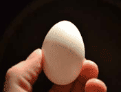 egg chemistry experiment