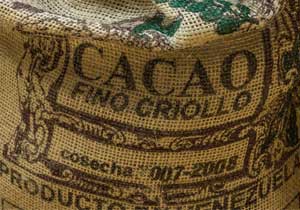 orinoco river cacao chocolate