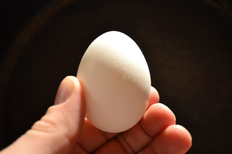 Eggshell Chemistry Experiment | Science with Kids.com