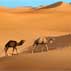 Facts about Deserts